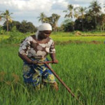 Sessão “ As mulheres na Agricultura e os Movimentos Feministas” (22 jan., Lisboa)