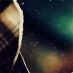 Seminário «Feminismos no Centro – Conhecer e Agir nos Territórios»